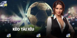 Kèo Tài Xỉu - Cách Chơi Và Ví Dụ Cụ Thể Cho Bạn Dễ Áp Dụng
